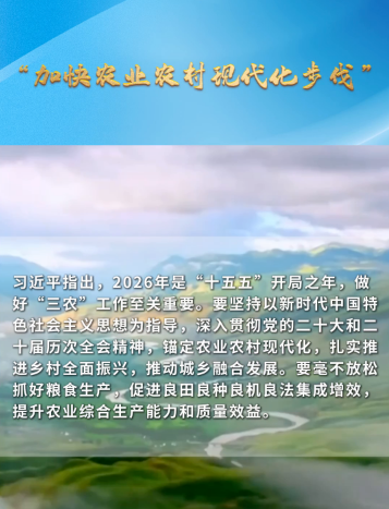 一习话·迈向“十五五”     “加快农业农村现代化步伐”